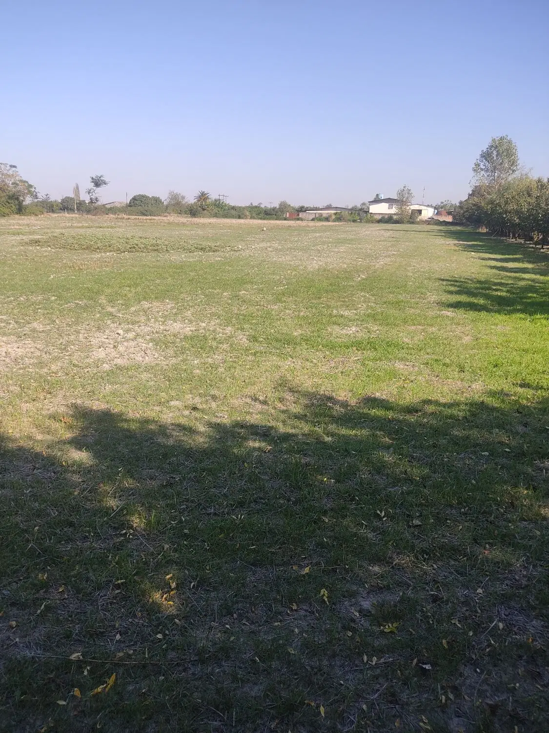 فروش زمین کشاورزی