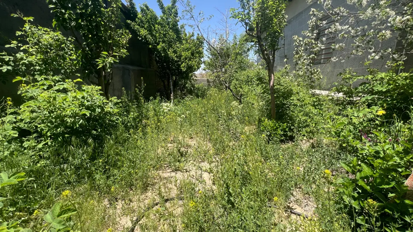 خانه باغ در امیرآباد گوغر