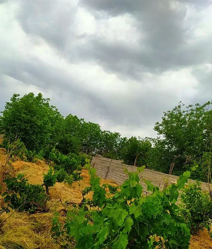 باغ و باغچه_سهمیه آب_سرسبز