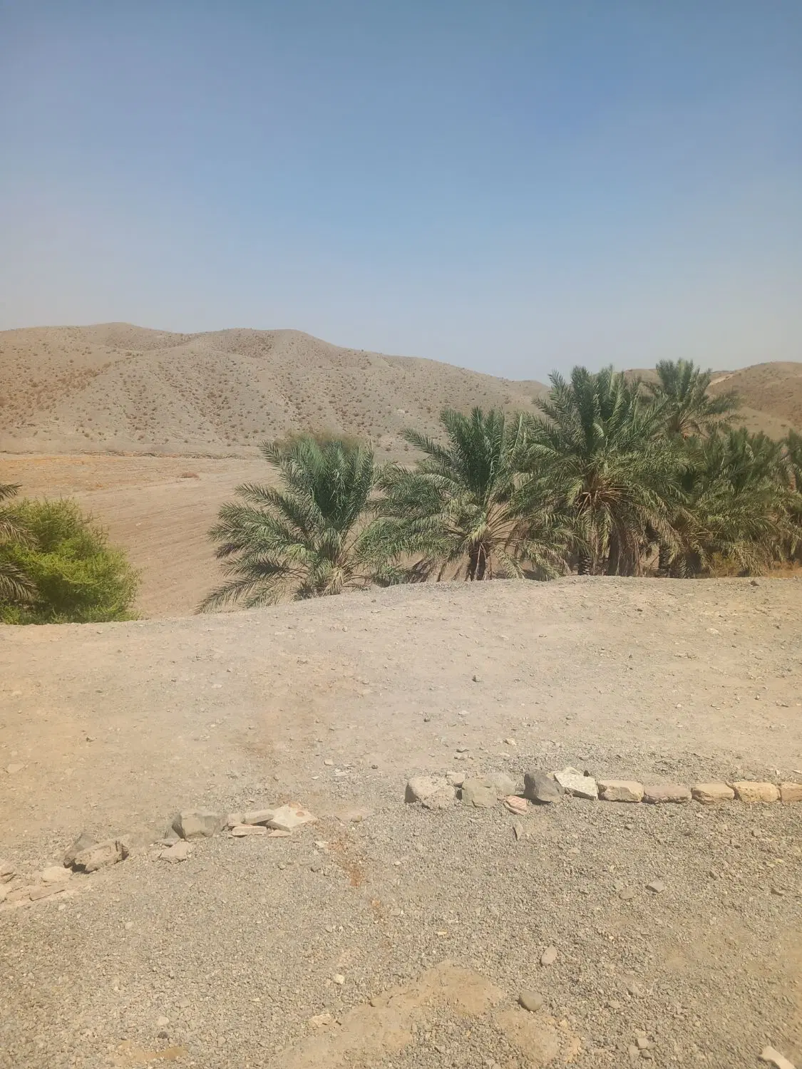 زمین اجاره ای کشاورزی