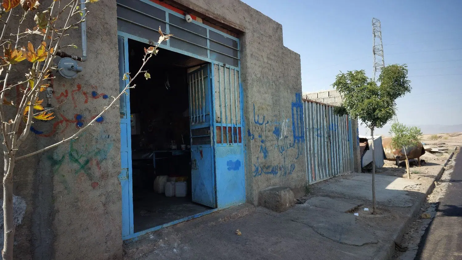 ملک فروشی
