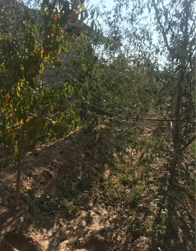۴۰۰ متری چهار دیواری مرزیجران با مجوز ساخت
