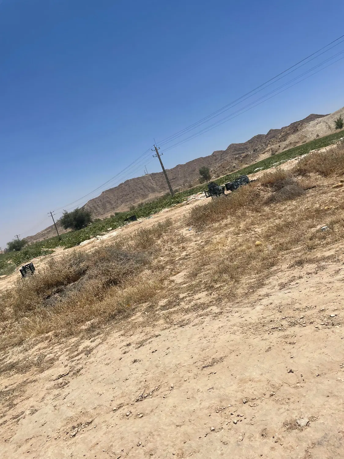 زمین ۲۵۰۰متر قطعات۵۰۰ متری و۱۰۰۰ متری گورک تک برگ