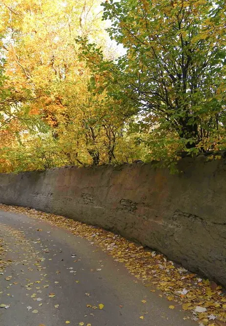 باغ کوچه گرده پزی دره یاسین