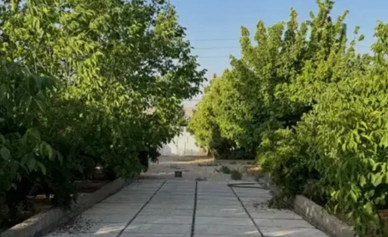 باغ شهر