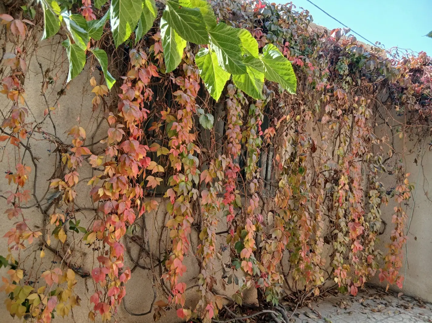 ویلایی کلنگی