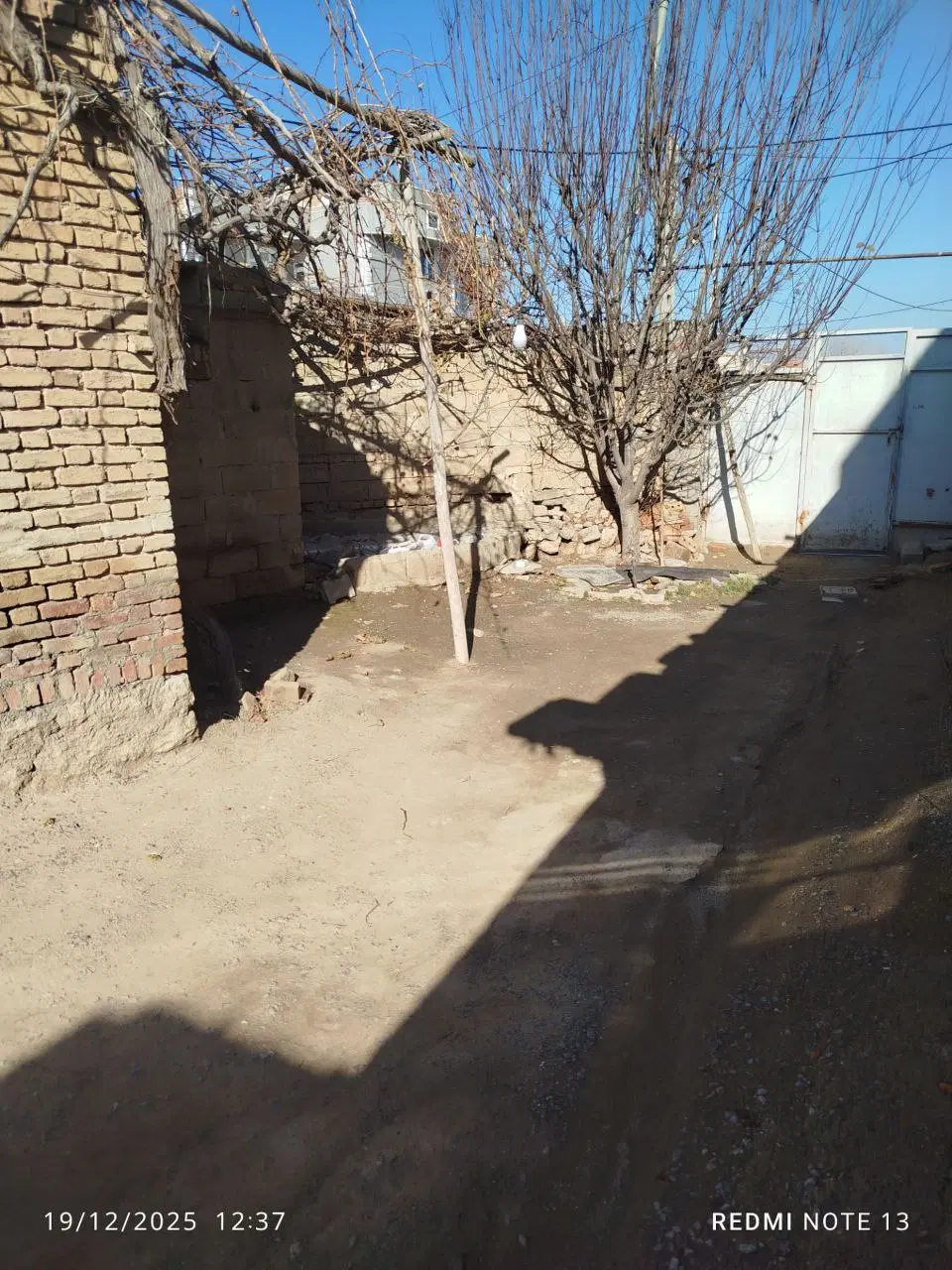 زمین کلنگی