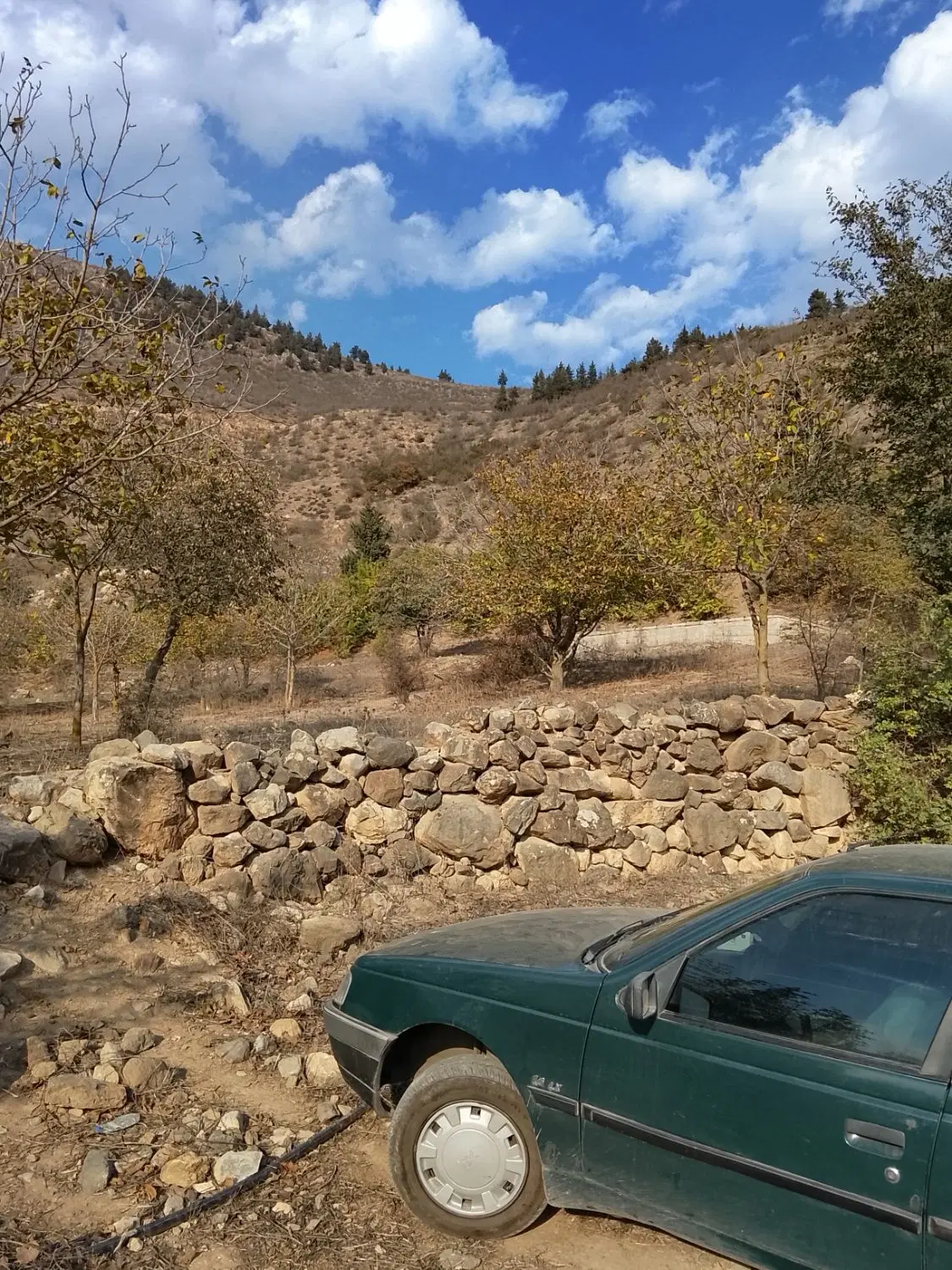 مشارکت میکنم برای ایده خوب