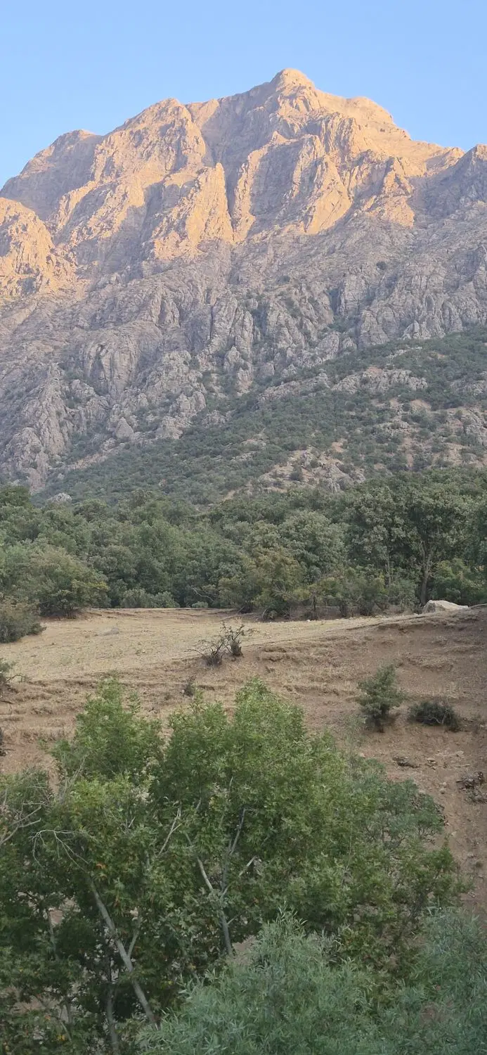 زمین مسکونی .تجاری سه قطعه