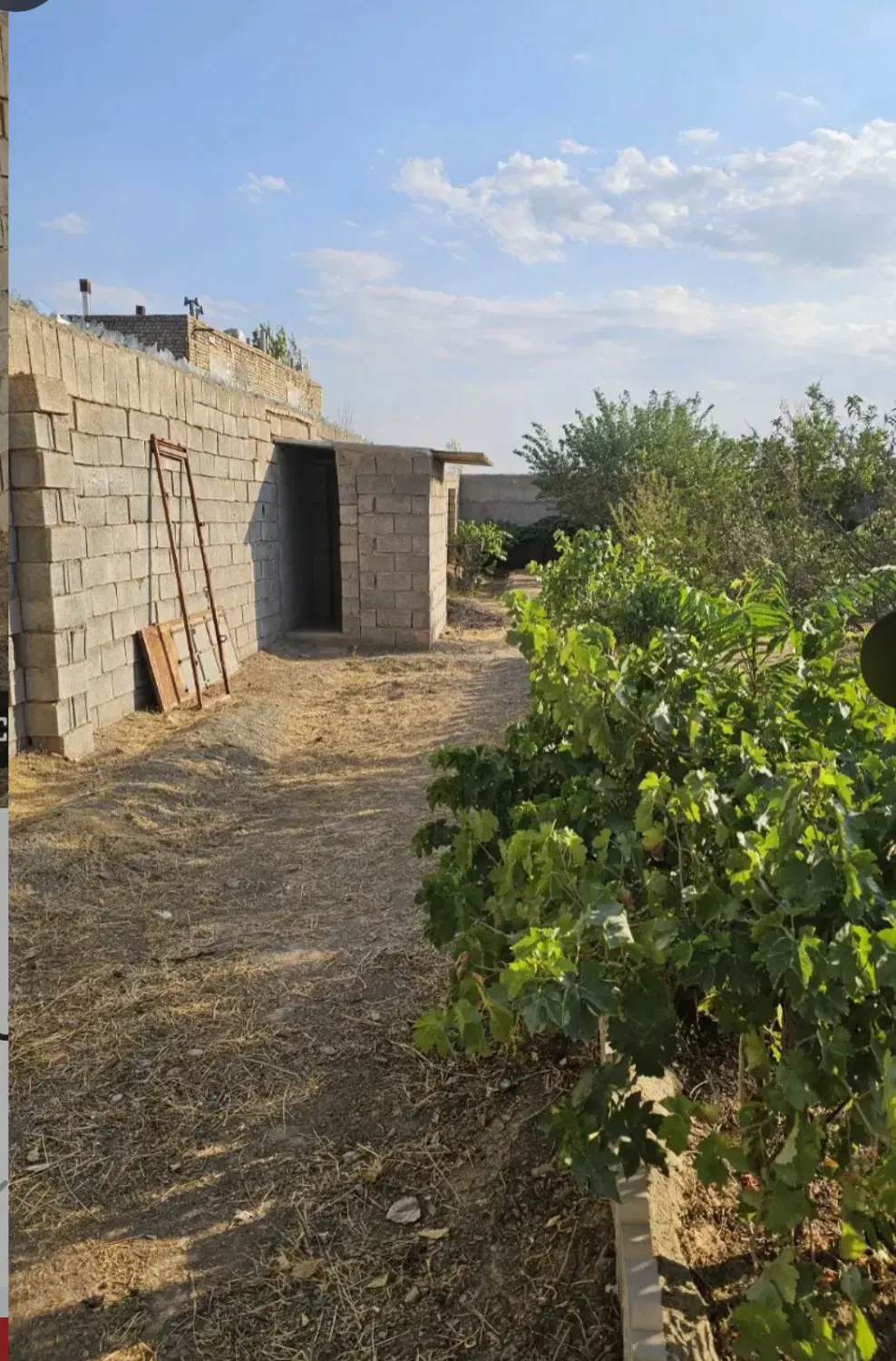 فروش باغ ۶۰۰ متری  در شهرک بهار ( روستای بهار )