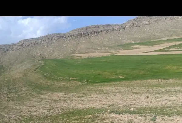 فروش زمین کشاورزی