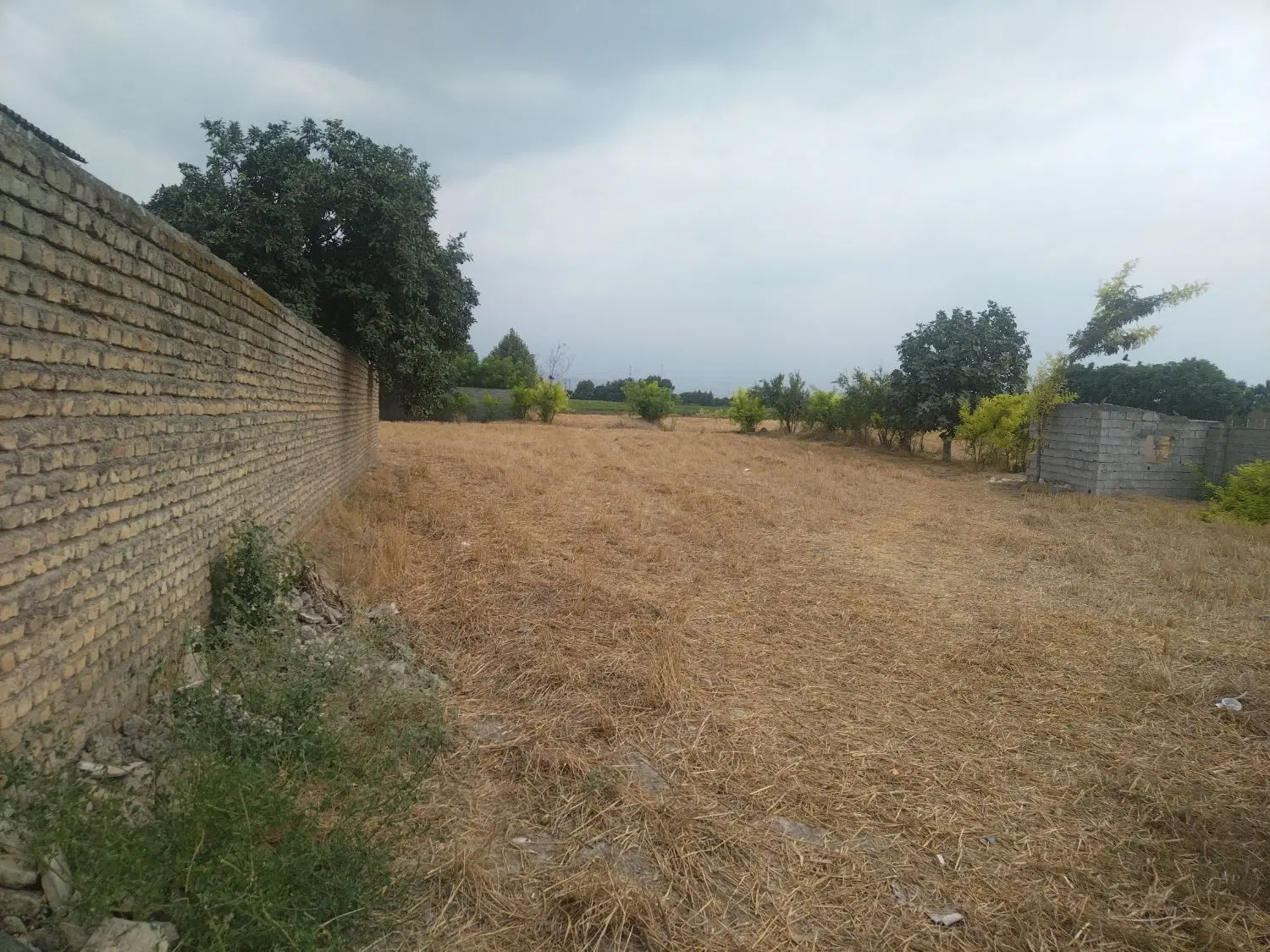 زمین مسکونی 250متر