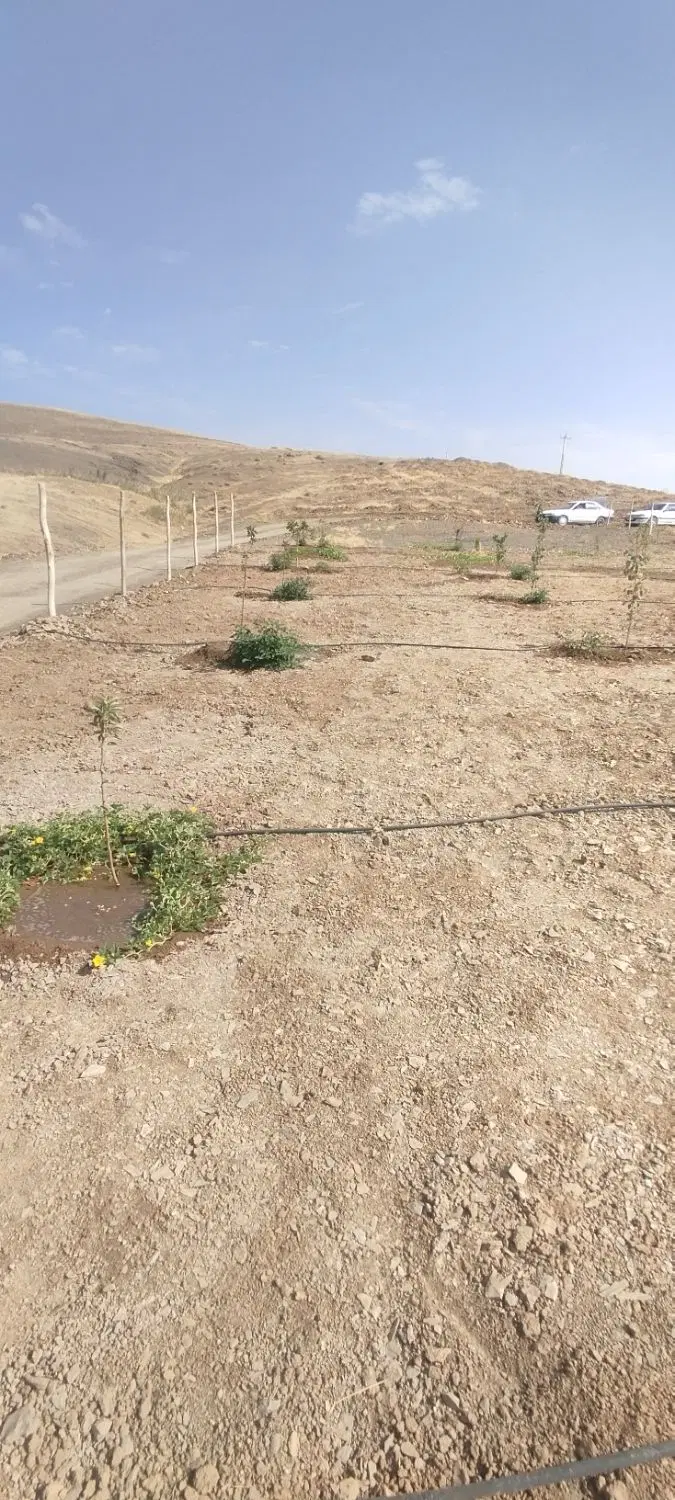 باغ 650 متری