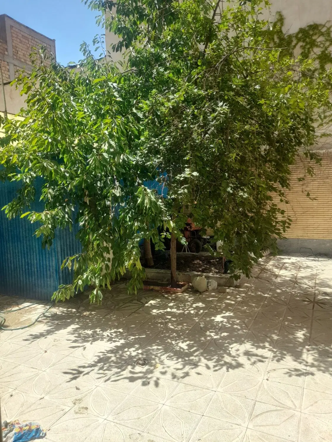 فروش حیاط ویلایی باغمیشه