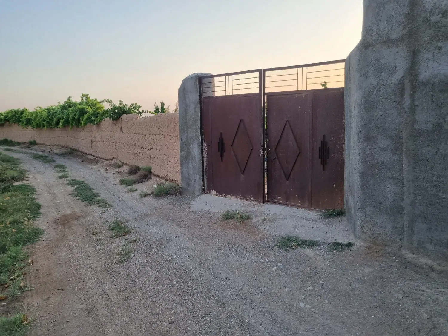 باغ تکستان و زردآلو