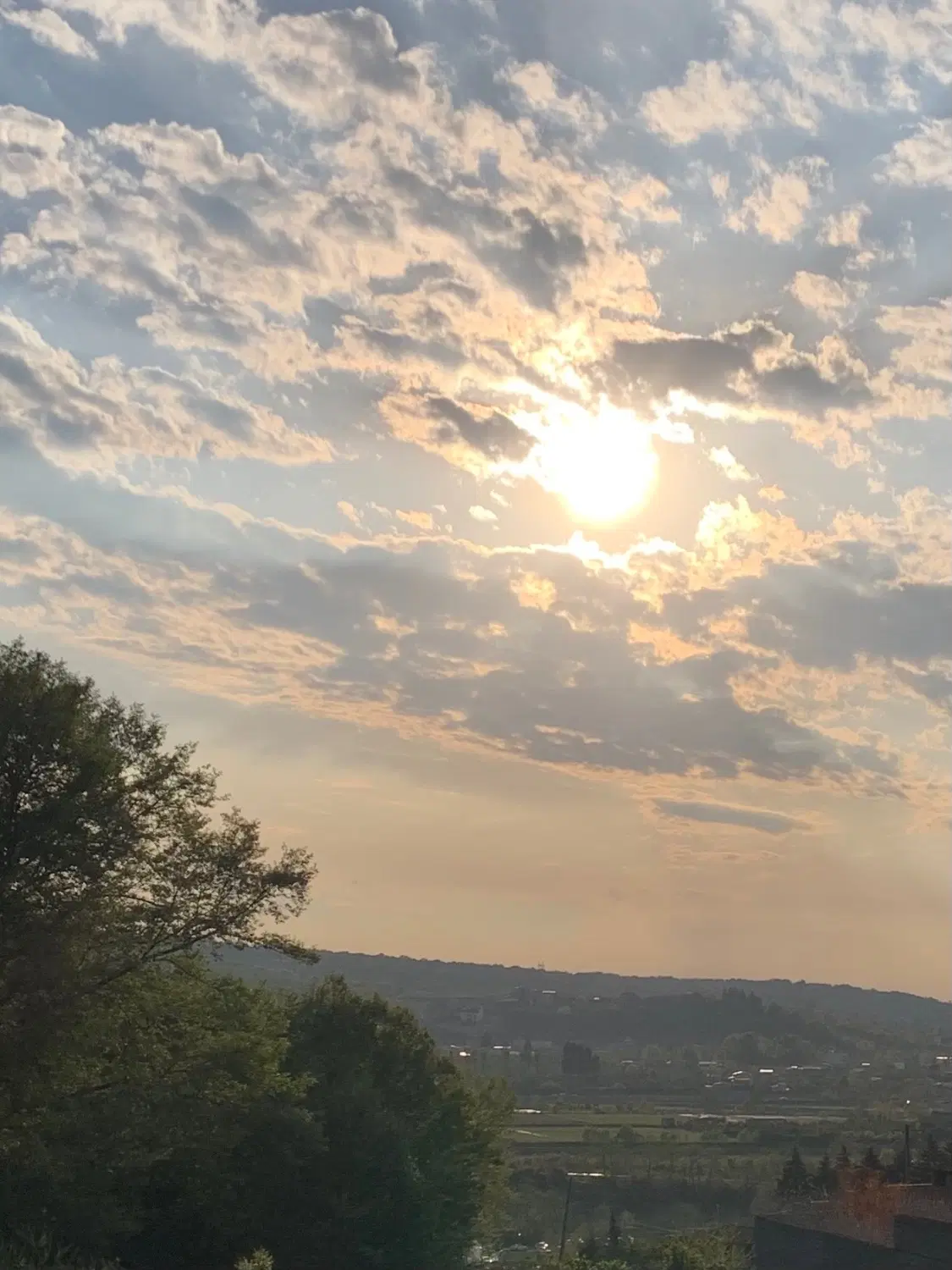 باغ صنوبر در قادیکلای بزرگ با ویوی ابدی