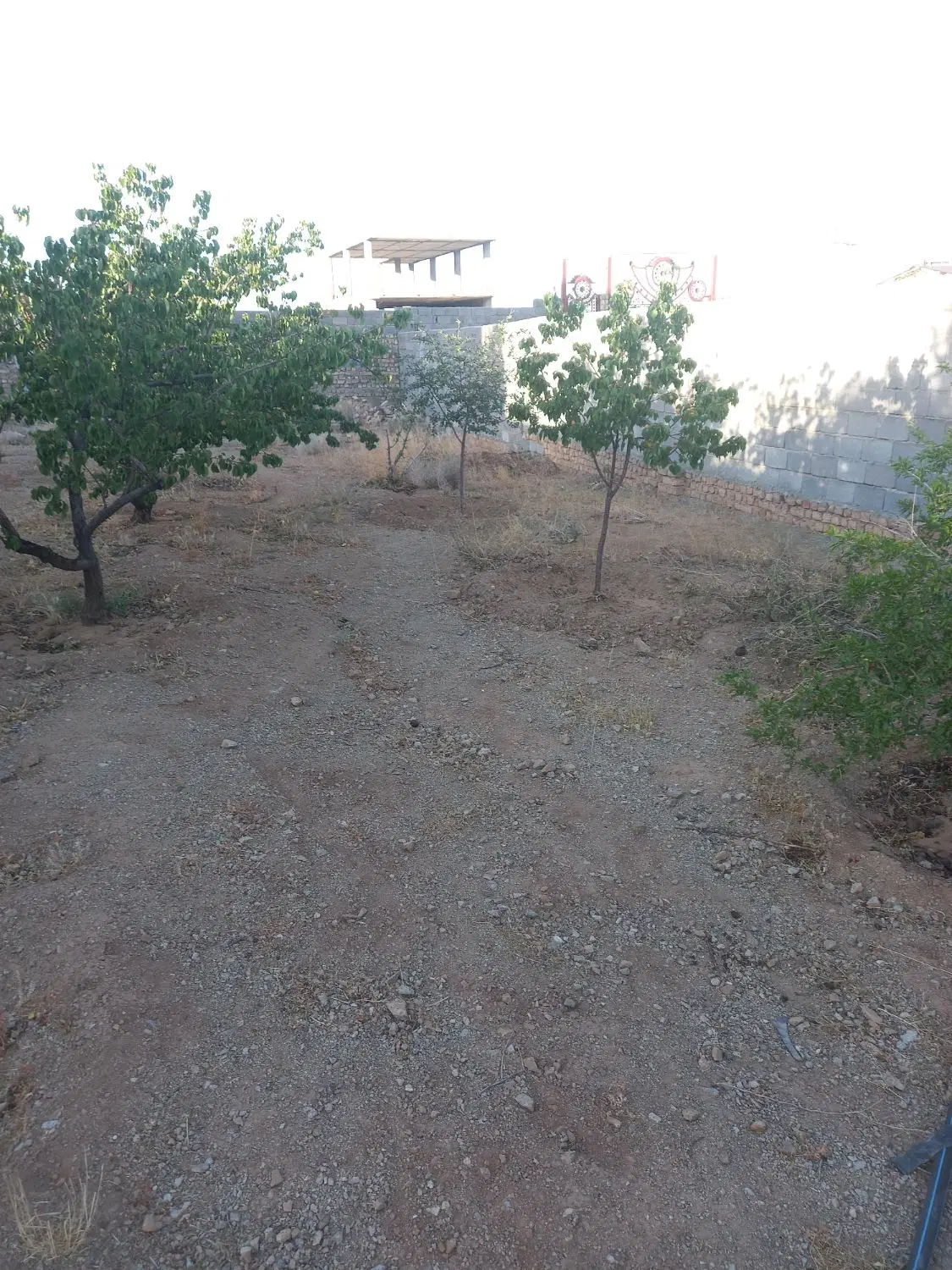 زمین چهاردیواری سند تک برگ