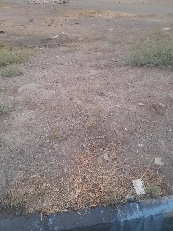 زمین مسکونی