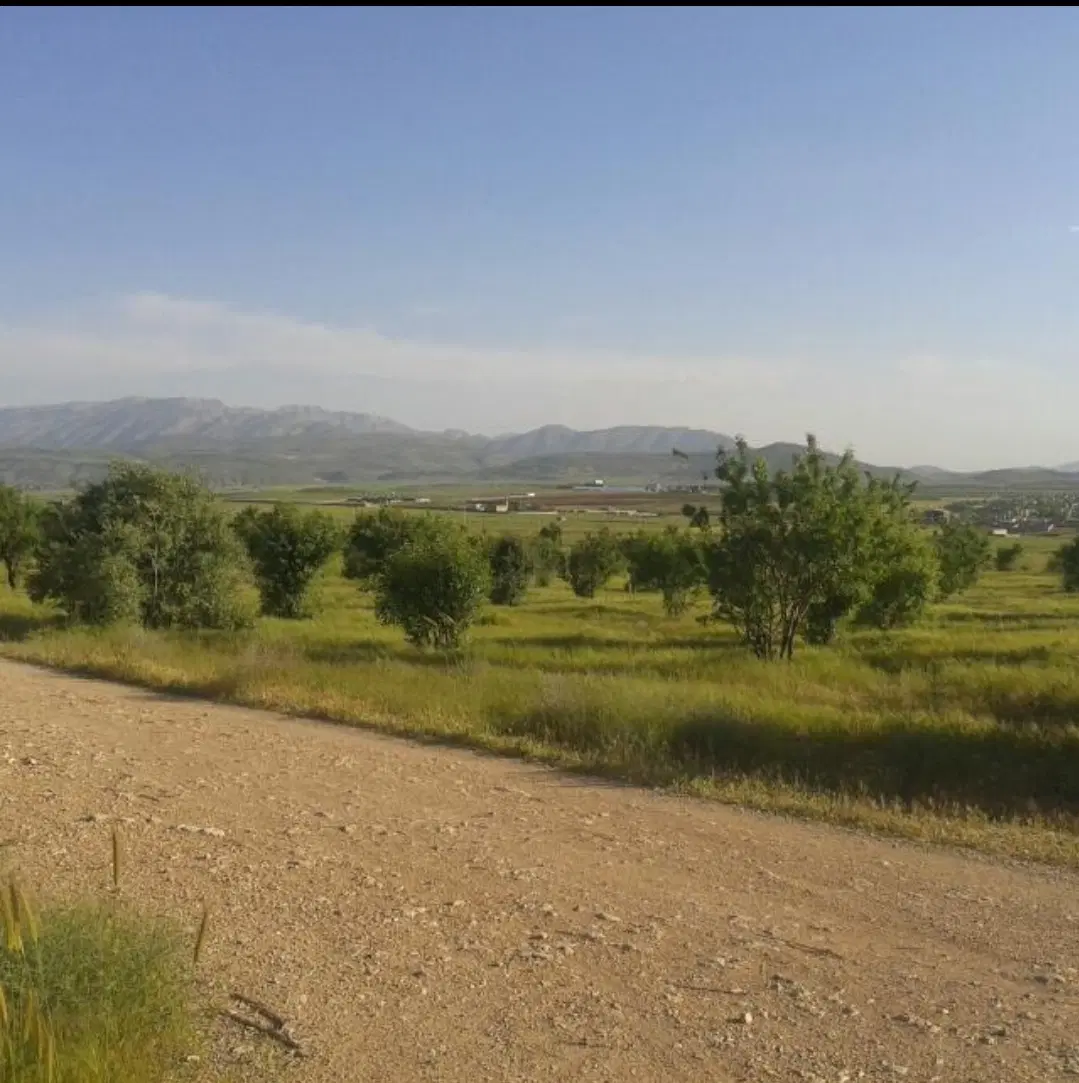 زمین  باغ شهری سهیل کهمره سرخی