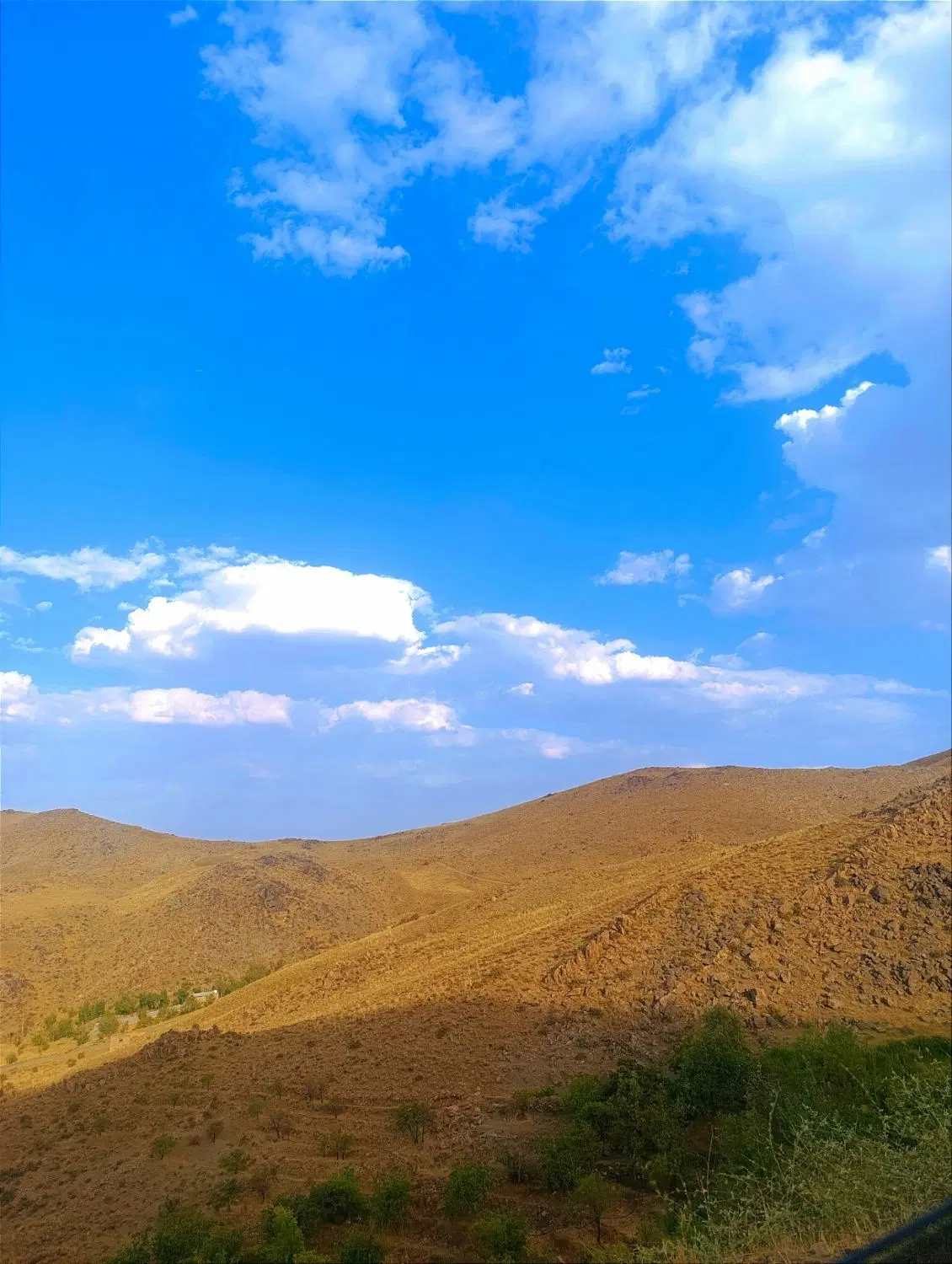 زمین باغی  خوش اب و هوا