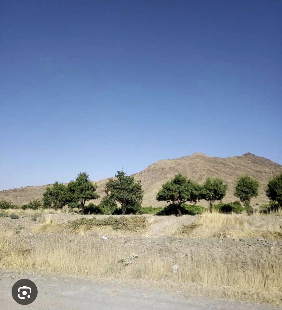 زمین بر جاده بغدادی