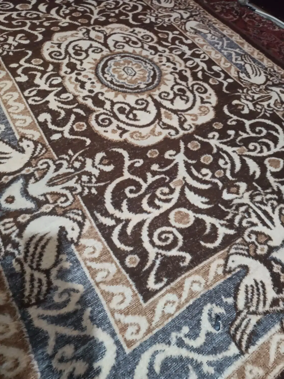 زمین یا حیات ویلایی