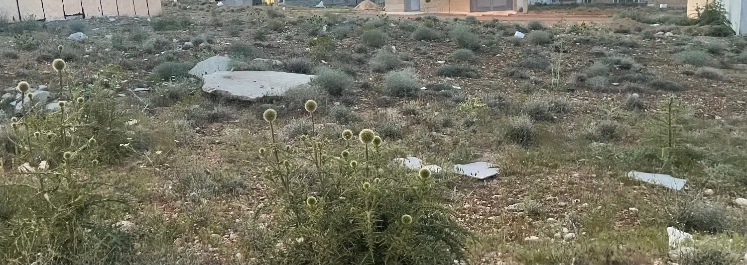 فروش زمین گلستان (پیام )
