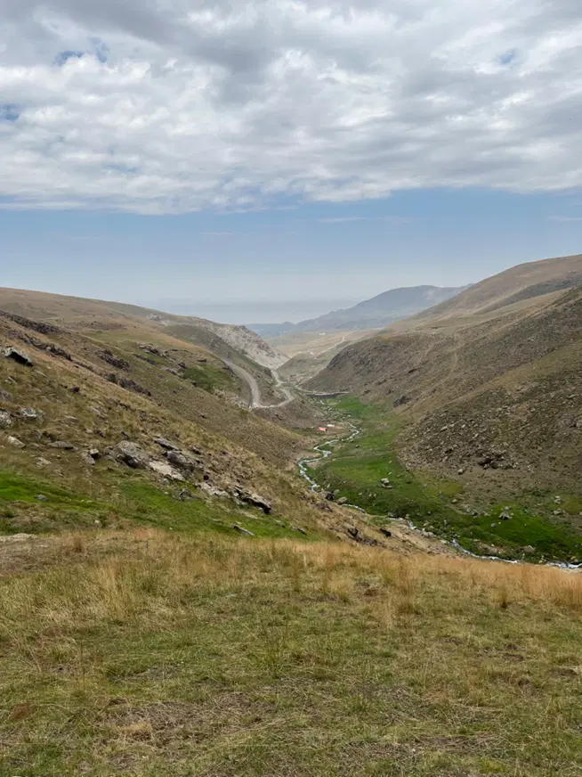 یکونیم هکتار زمین گندم به سیر