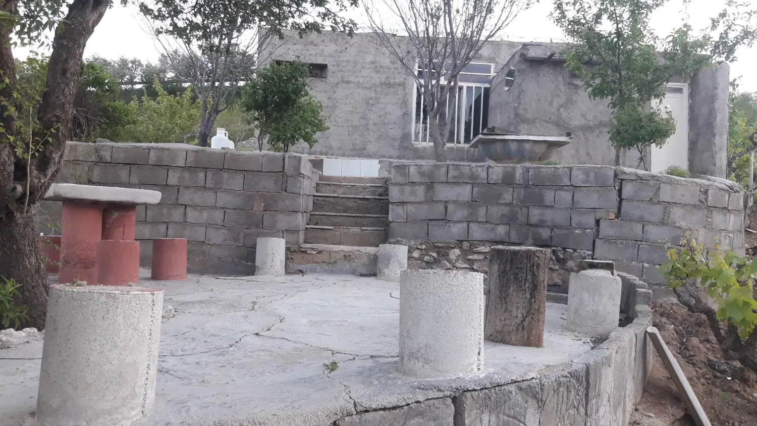 باغ انگور