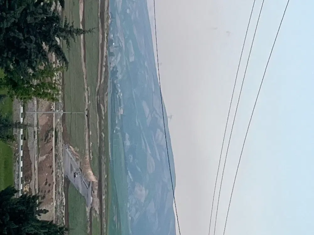 زمین شهرک دامپزشکی