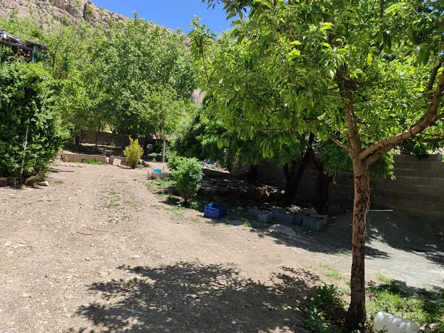 باغ 15ساله 5000متری