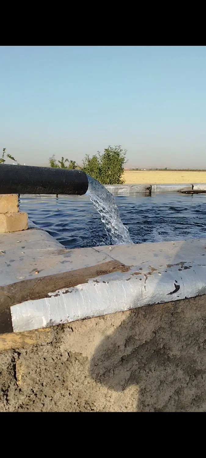 باغ بادام در خیابان سرو شهرستانک