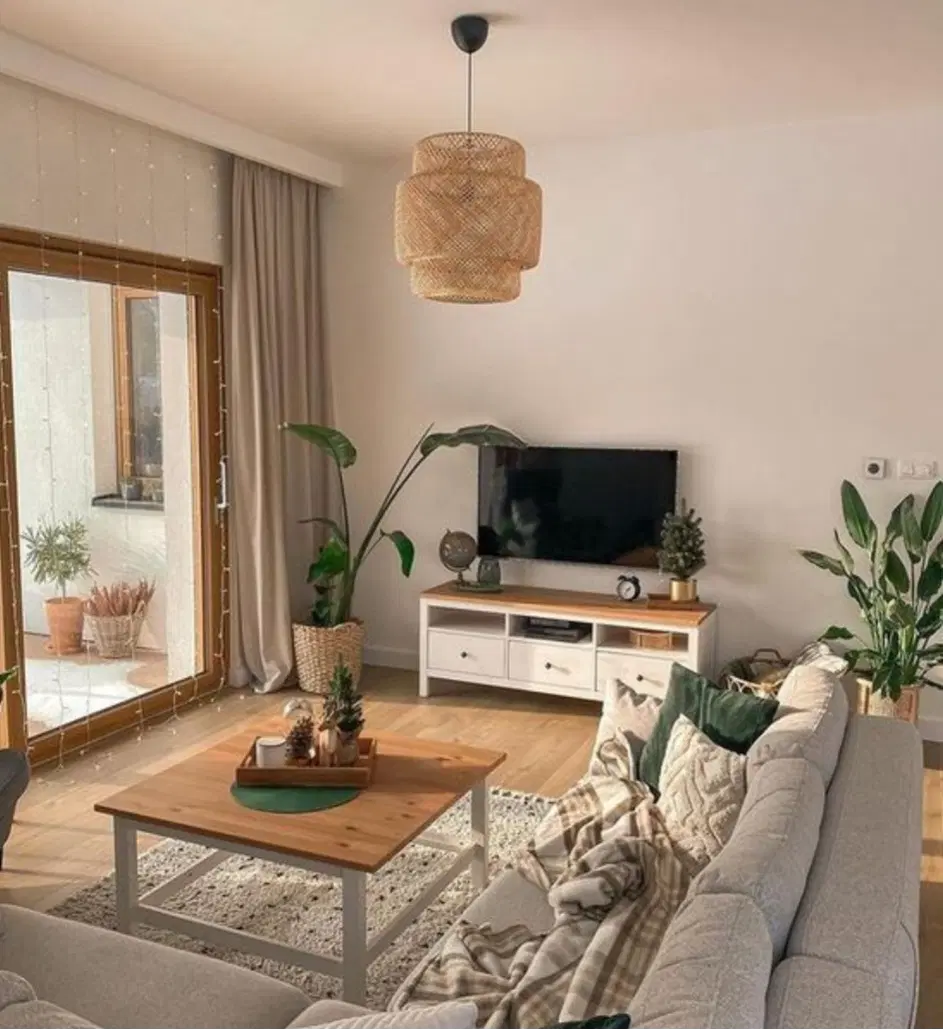 40 متری سند تک برگ