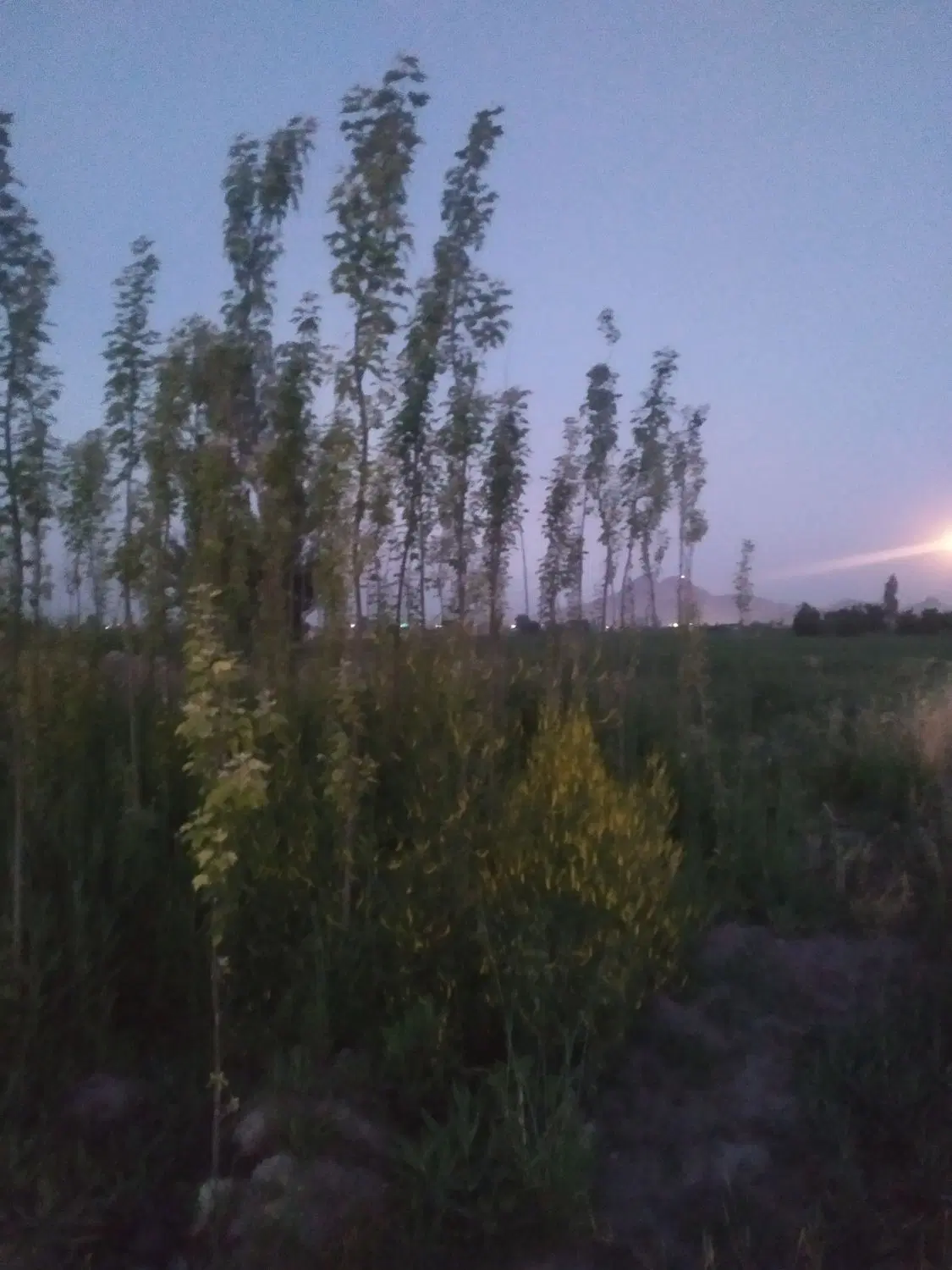 قطعه ۶۸۰متری روستای شاه میرزا قیمت ۵۸۰میلیون