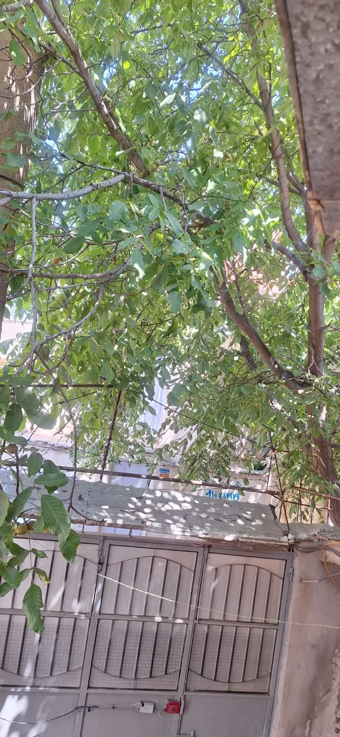 خانه پشت مسجد هژاره ۱۲۸ متر