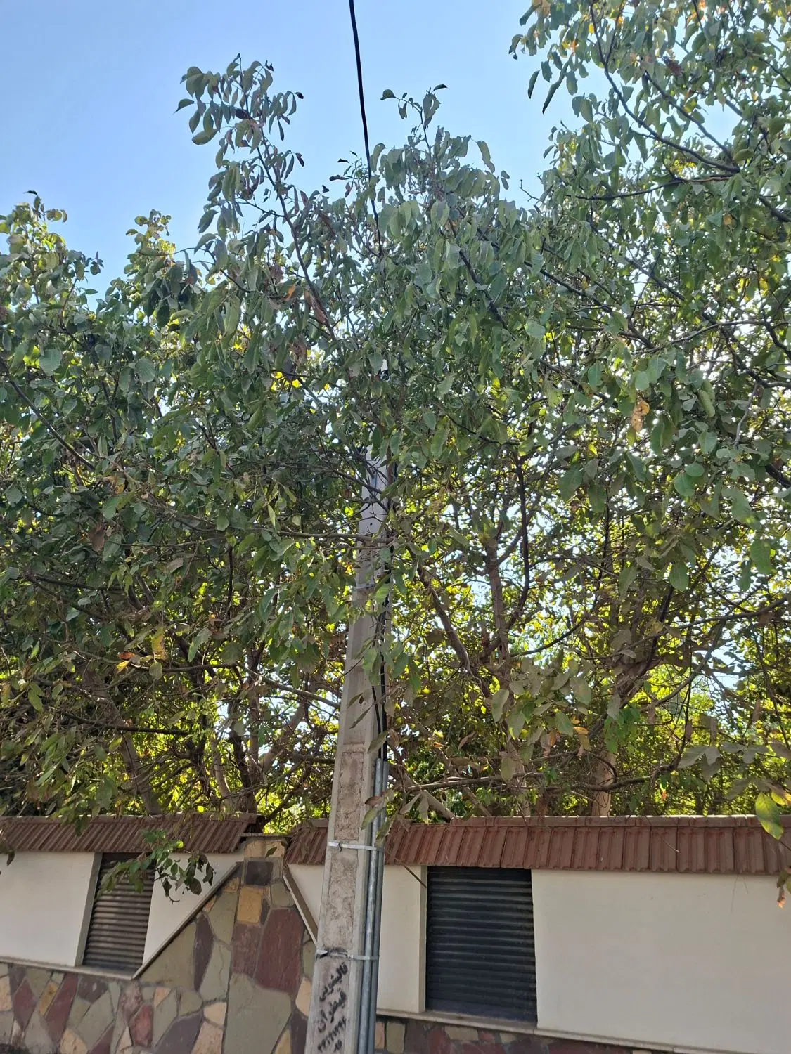 زمین ۴ دیواری