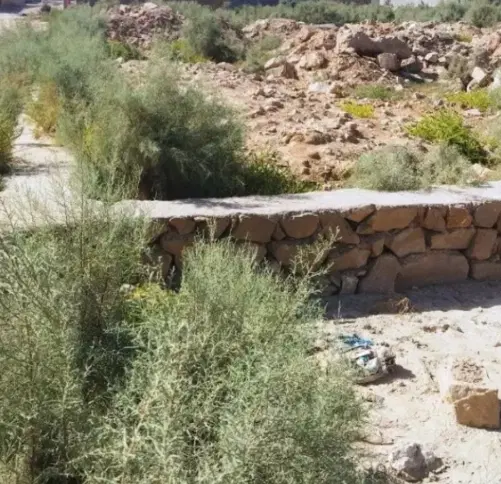 زمین علی اباد