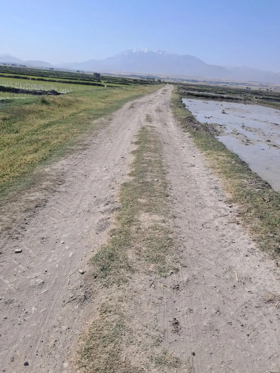 زمین کشاورزی