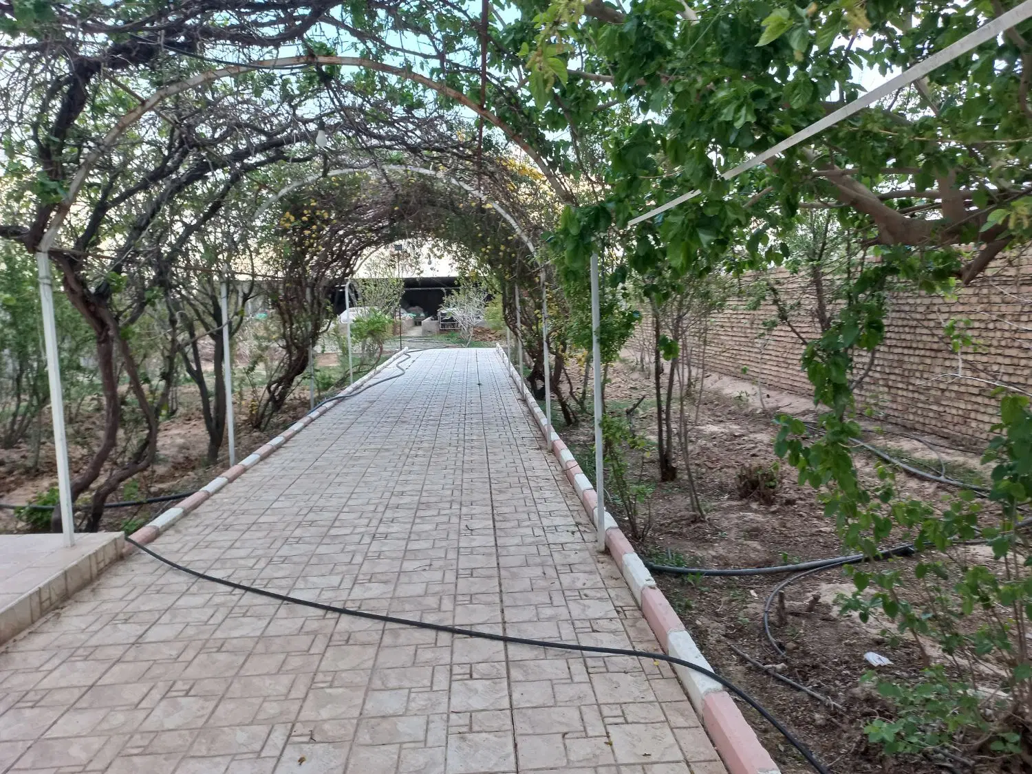 ۲۴۰۰متر دامداری و باغچه