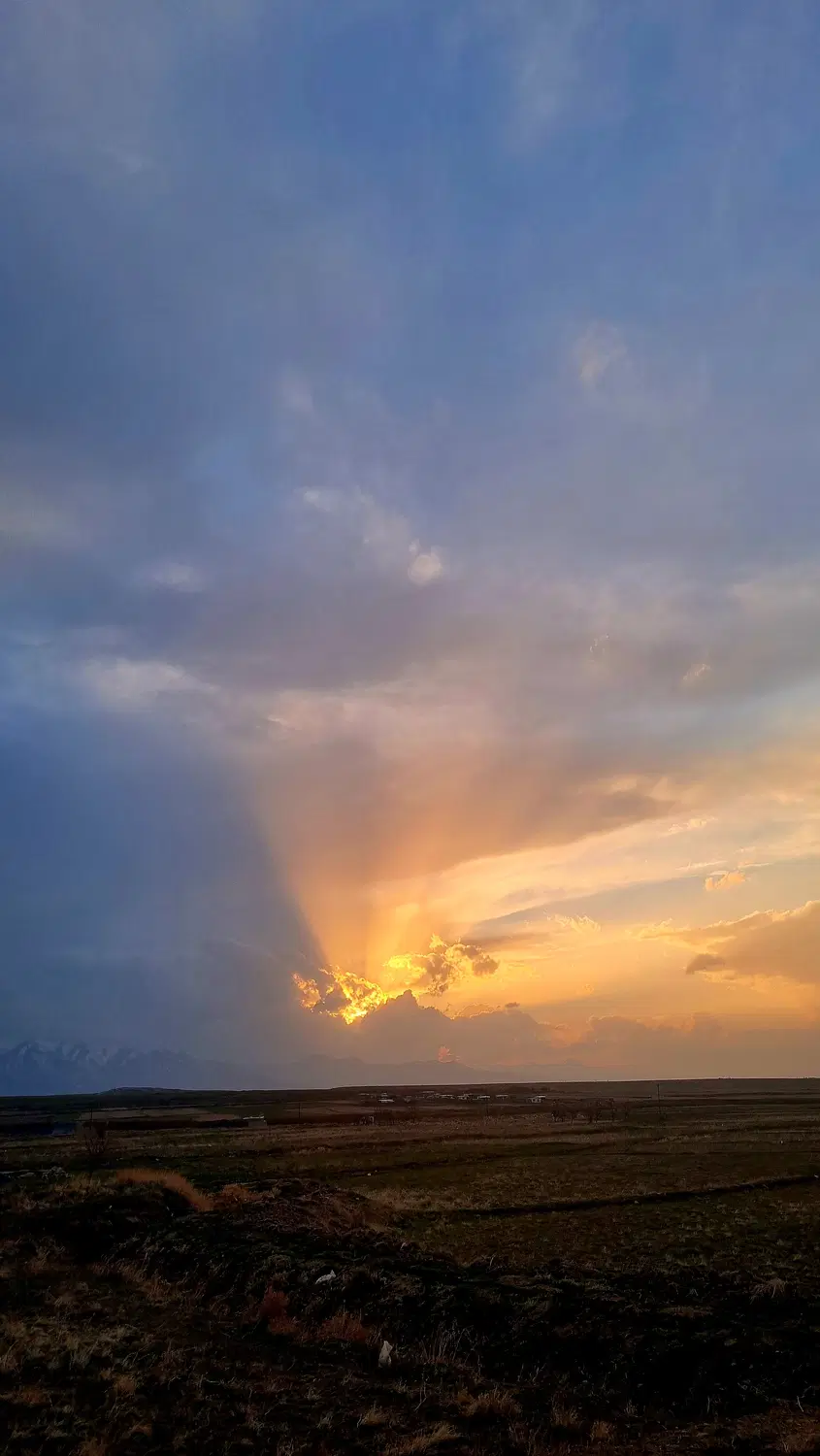 زمین باغی