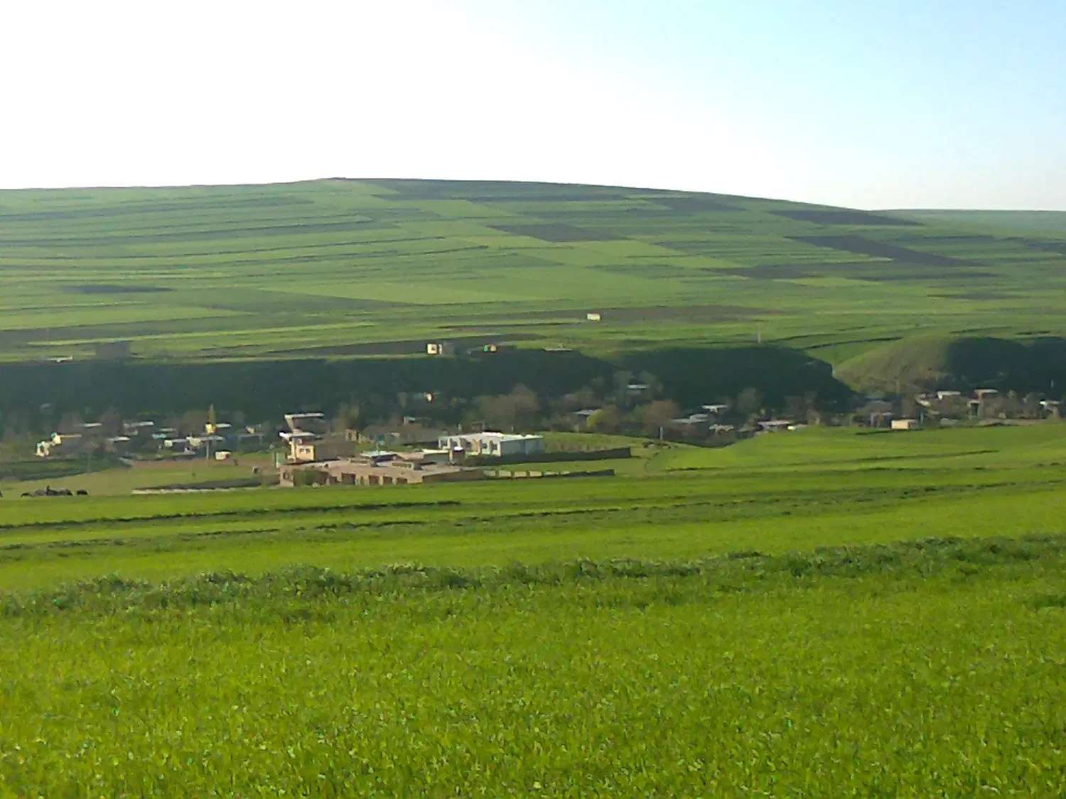 زمین زراعی در روستای حمزه خانلو
