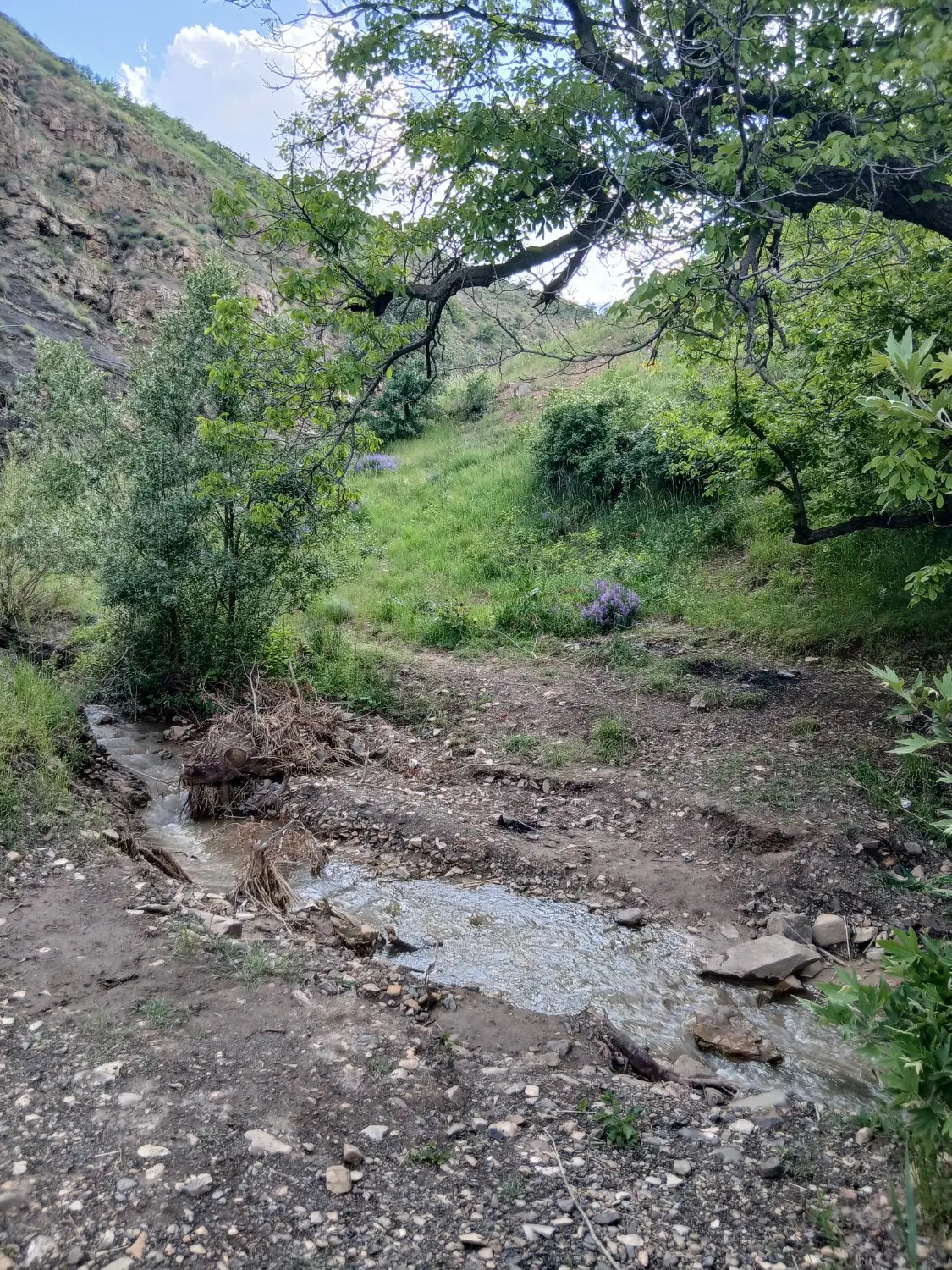 زمین مهرگان