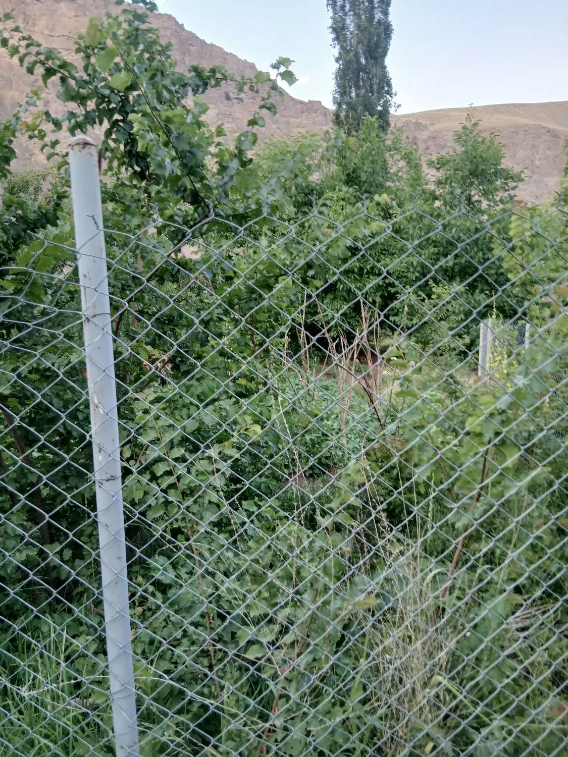 فروش زمین در طالقان