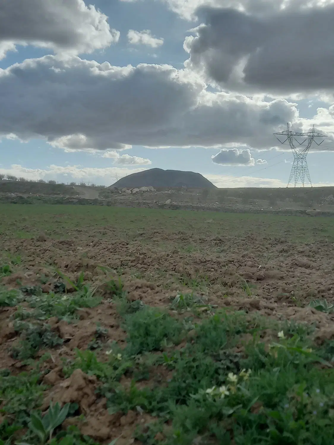 فروش زمین ۲۴ من محلی