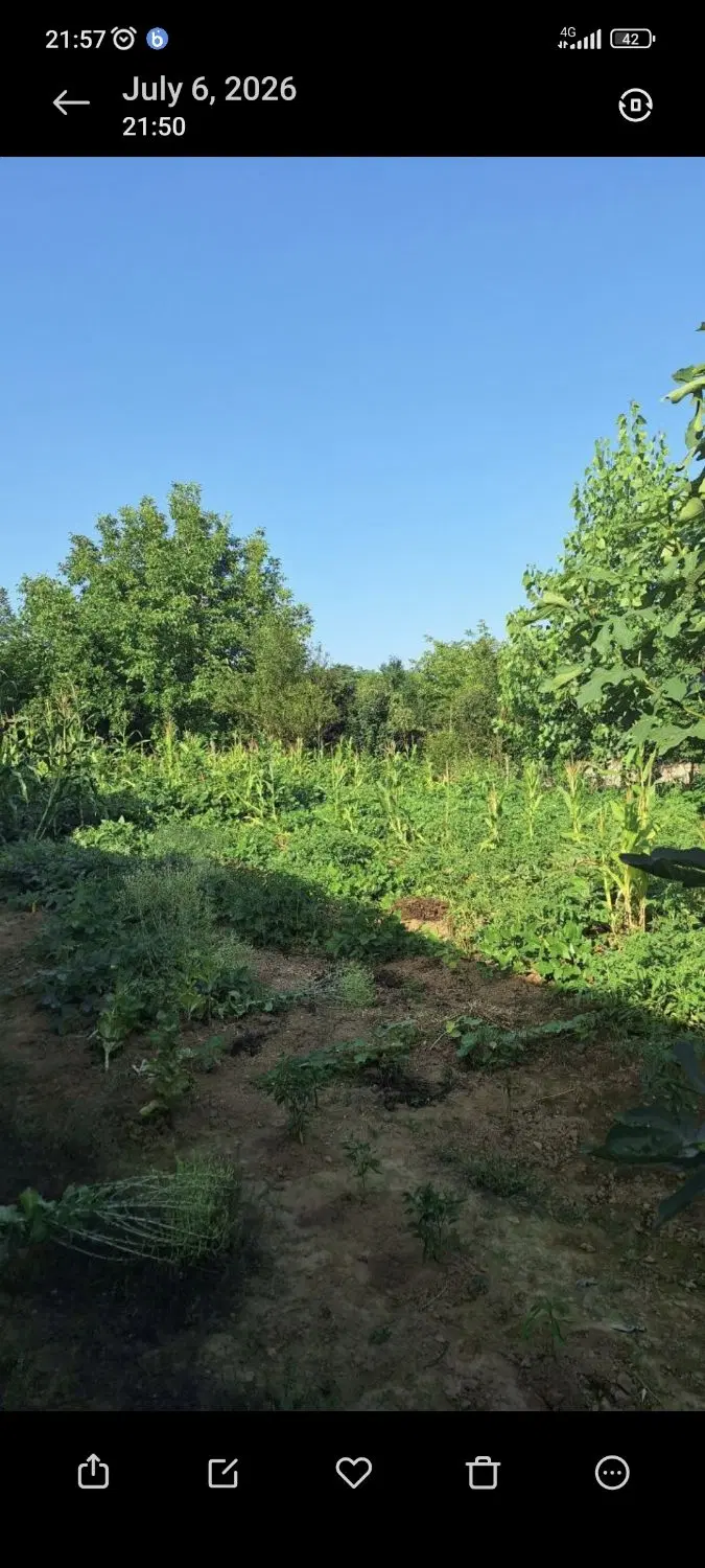 فروش زمین مسکونی روستایی