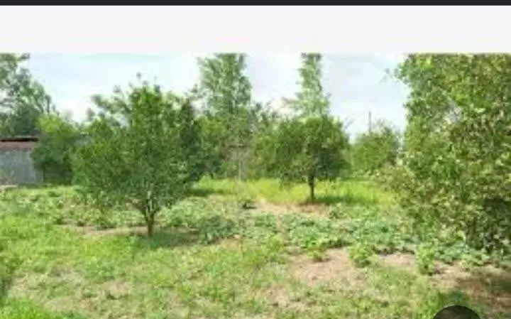 زمین فروشی خانه میران