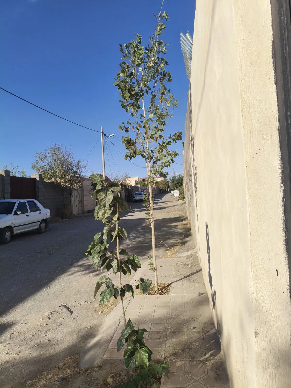 زمین داخل بافت روستا