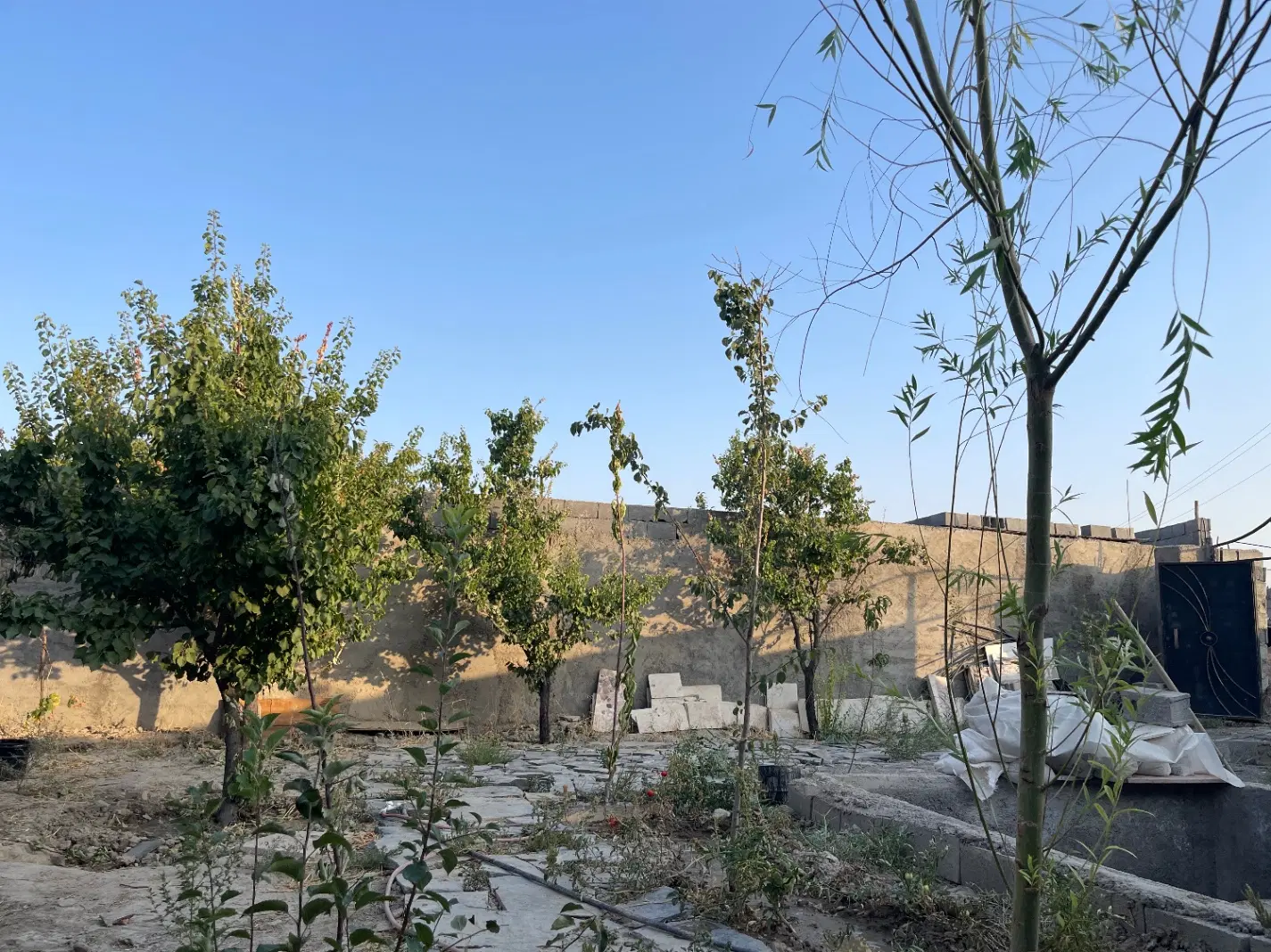 باغچه اماده معاوضه با خودرو