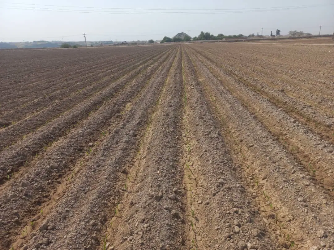 اجاره زمین کشاورزی
