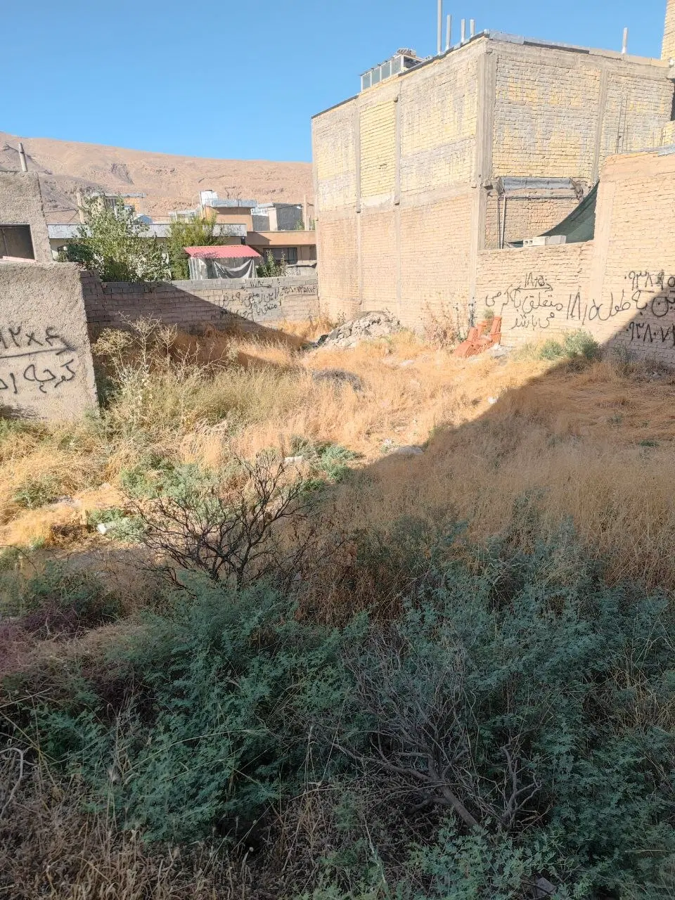 ملک